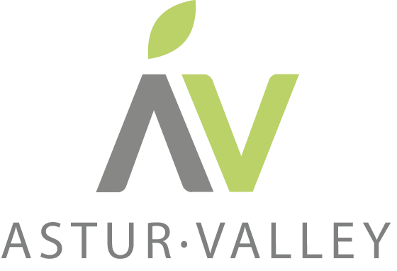 asturvalley_logo