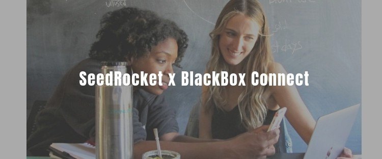 SeedRockers en Blackbox Connect