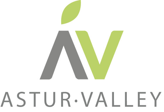 asturvalley_logo